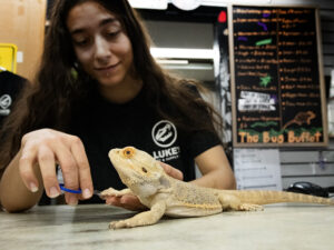 Lifestyle photo for Luke's Pet Supply